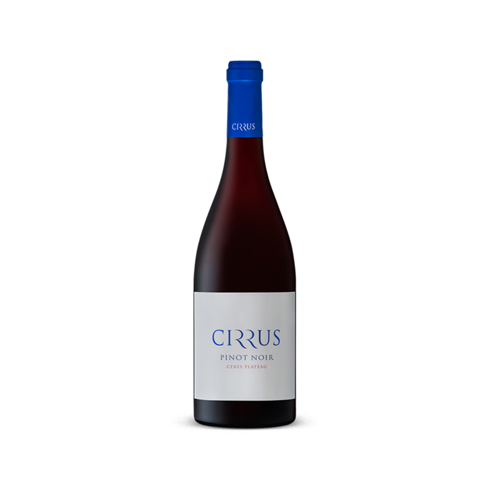 CIRRUS 2023 - PINOT NOIR