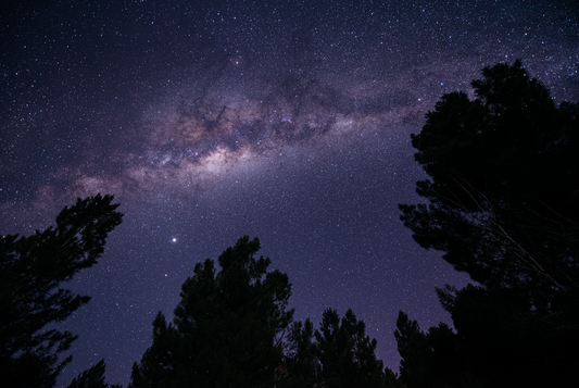 Imagine We Treated Nature As If She Was A Human.