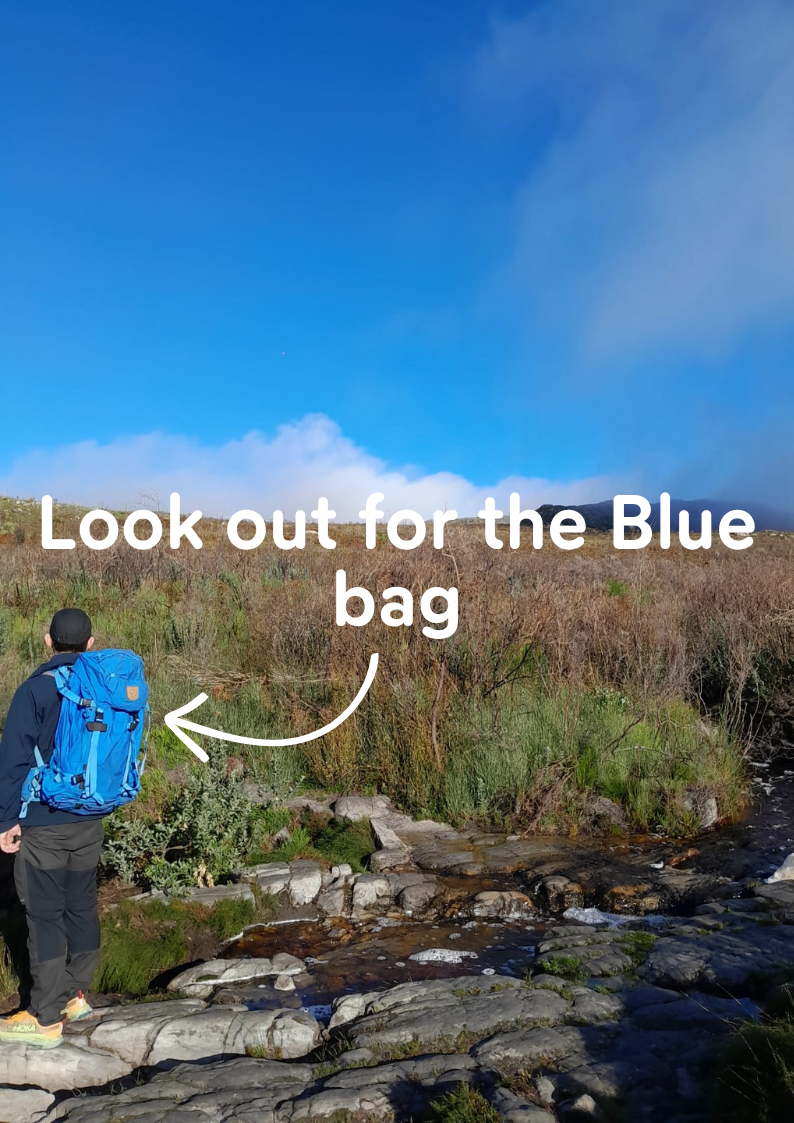 COMMUNITY HIKES - CAPE TOWN EDITION
