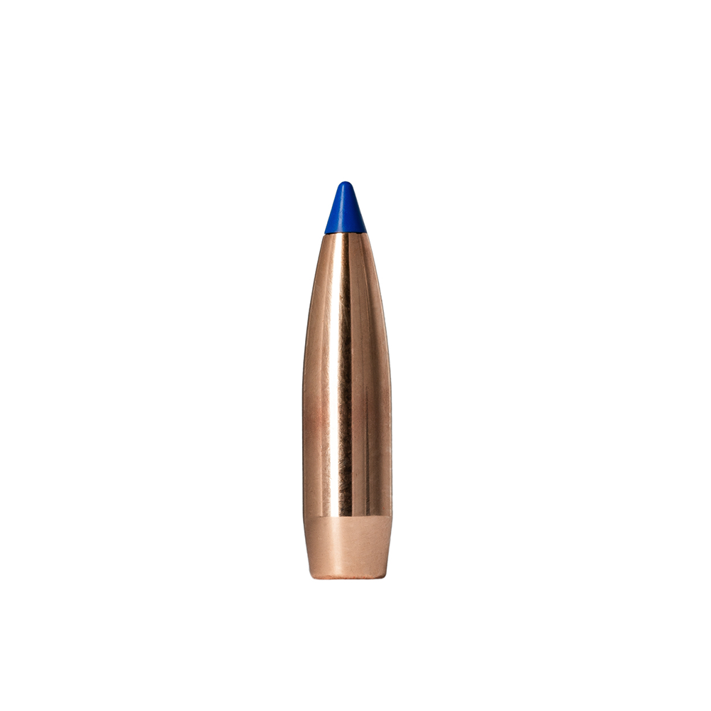 NORMA BUL .30 180 GR BONDSTRIKE EXTR (100)